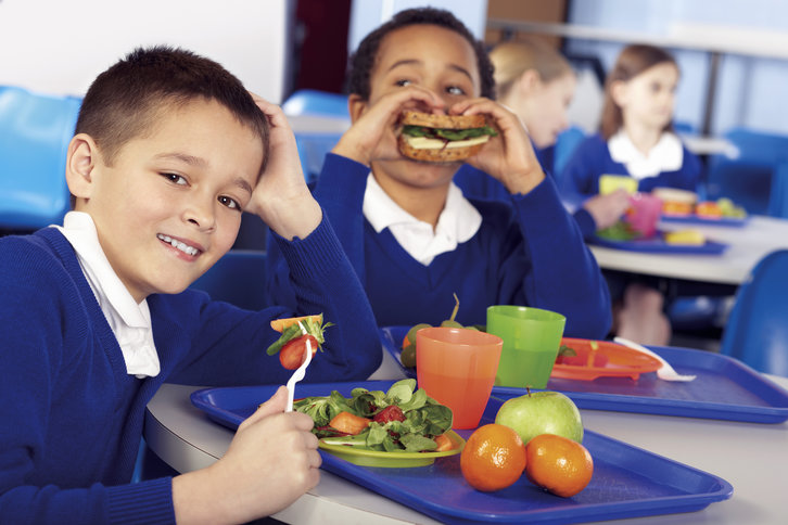 Schoolchildren are eating a healthy lunch