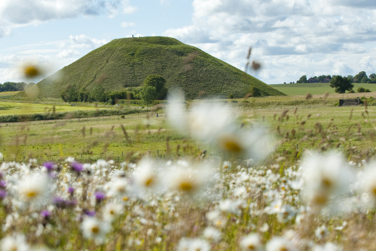 Typical British countryside with green fields and wild flowers