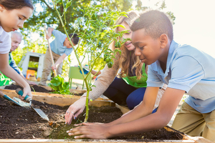 A family is planting vegetables together