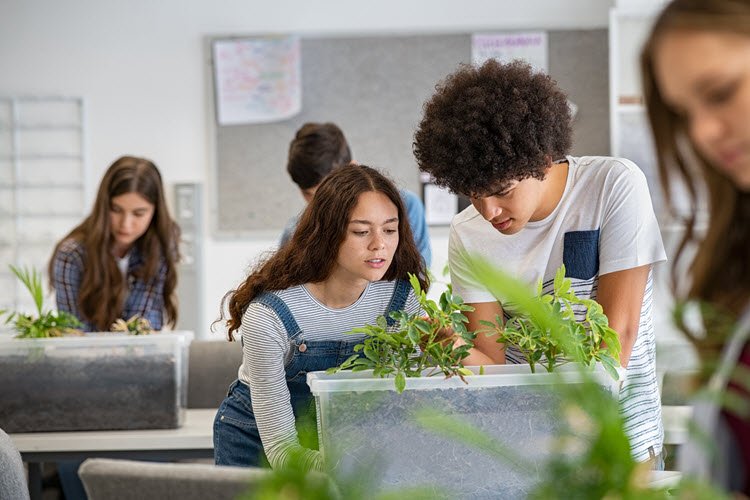 Teenagers looking at plants