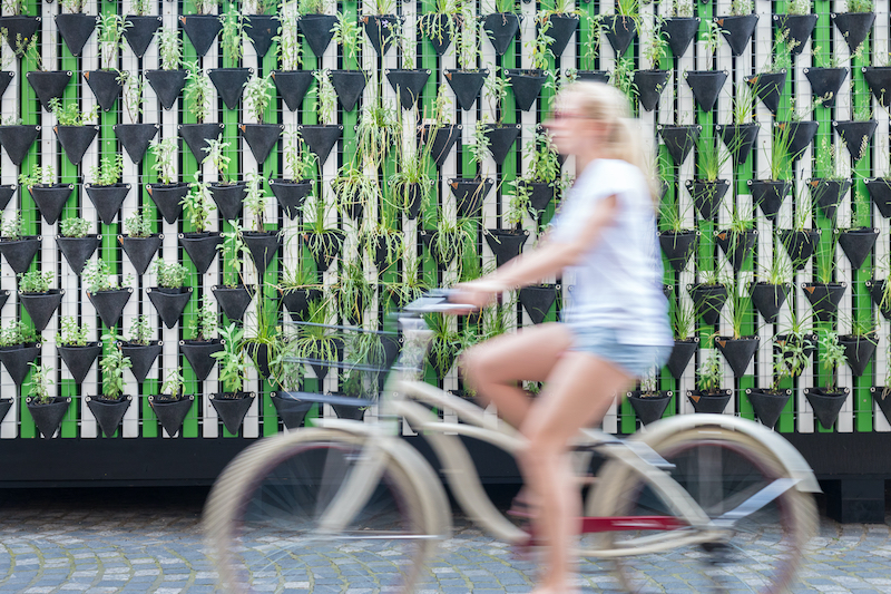 A woman riding a bicycle past a wall of plants