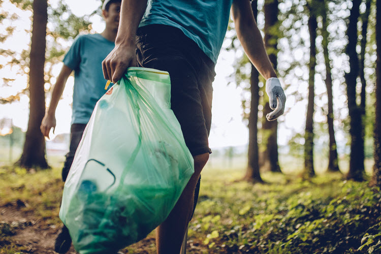 Two people are collecting rubbish in a forest